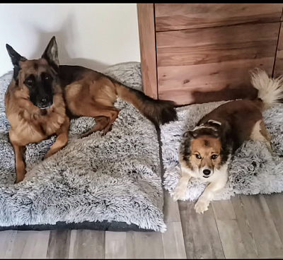 Tuman und Kira